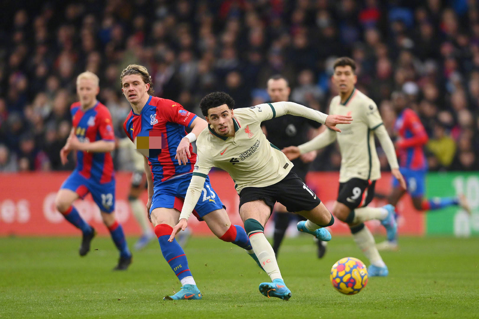 波士顿凯尔 波士顿凯尔