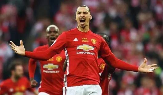 毛球队在各 毛球队在各